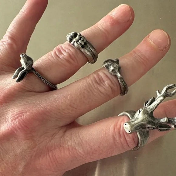 Silver Animal-Themed Rings Set - Picture 2 of 6